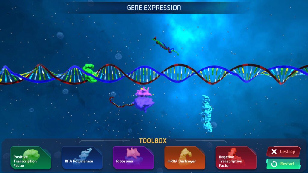 Educational Biology Interactive Game